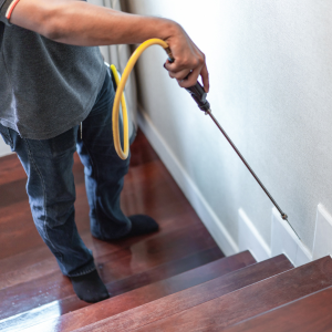 How to Sell a House That Has Termites in Maryland