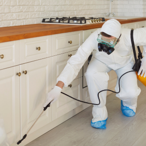 Do I Need a Termite Bond for Selling My House Baltimore