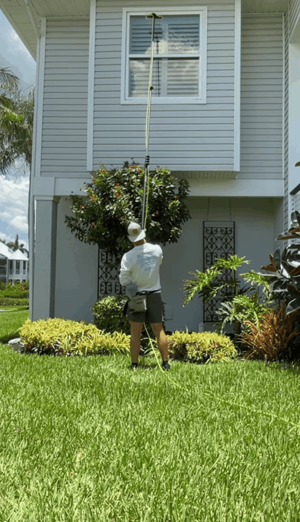 window cleaning