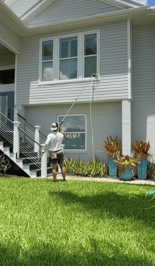 window cleaning