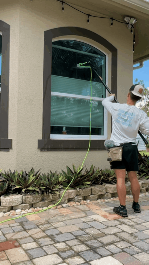 window cleaning