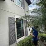 window cleaning