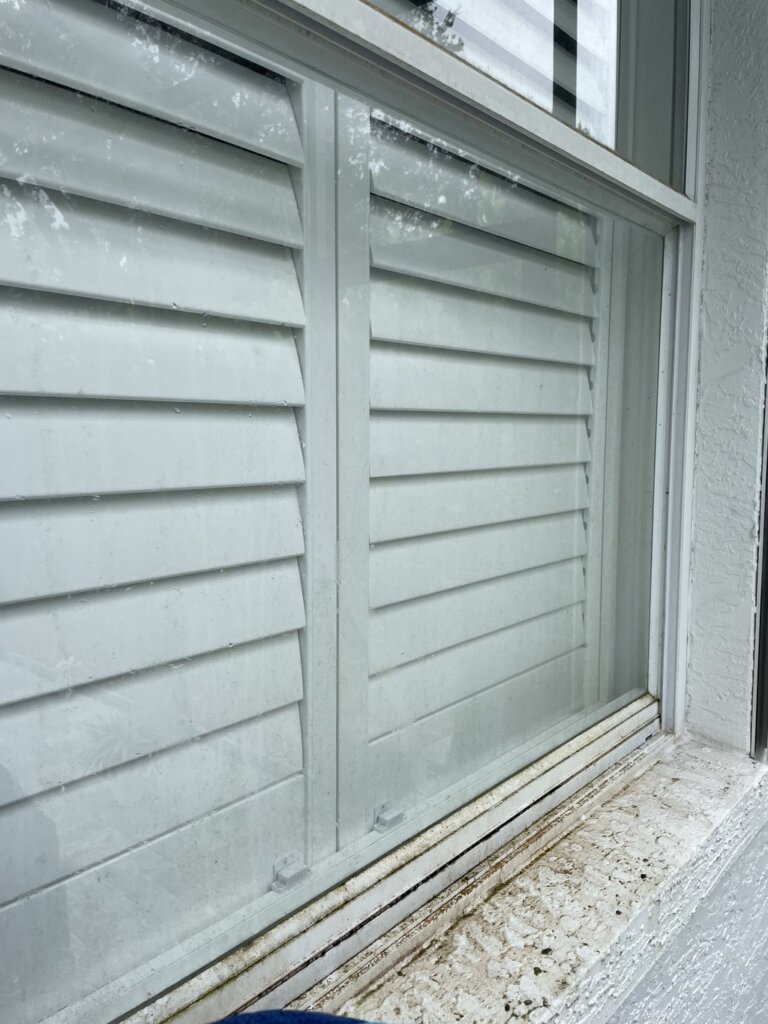 algae window before