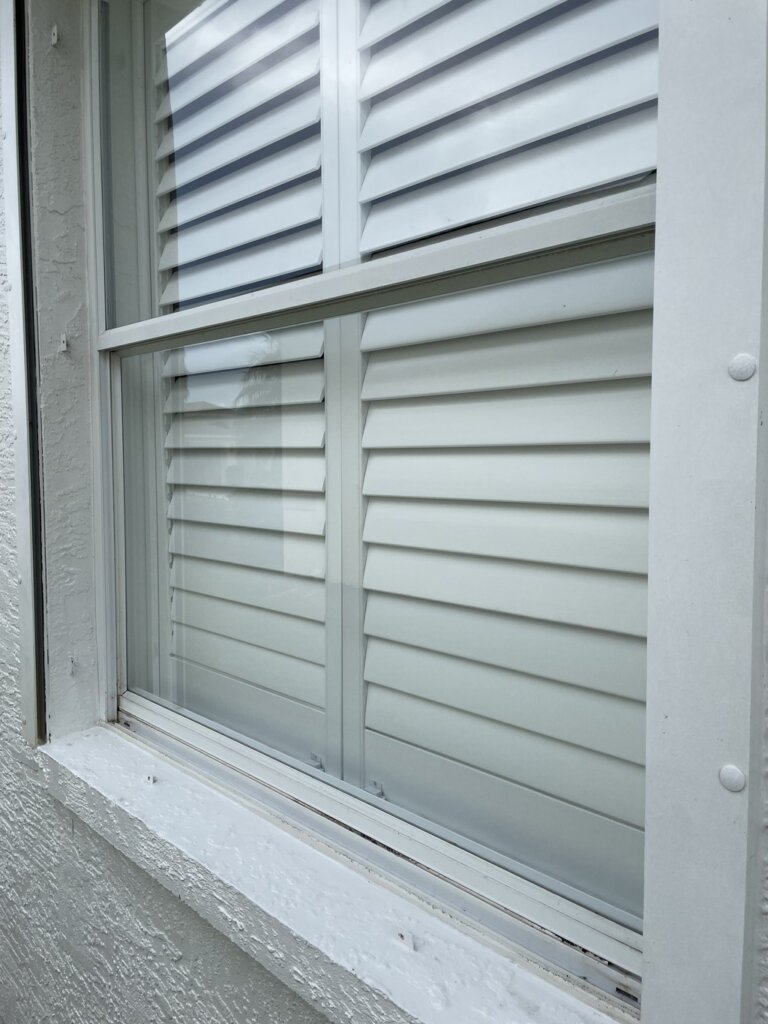 clean algae free window
