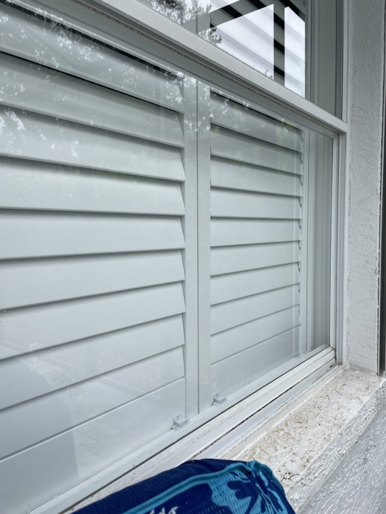 algae window after