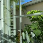 What’s the Best Time of Year to Clean Windows in Pelican Landing?