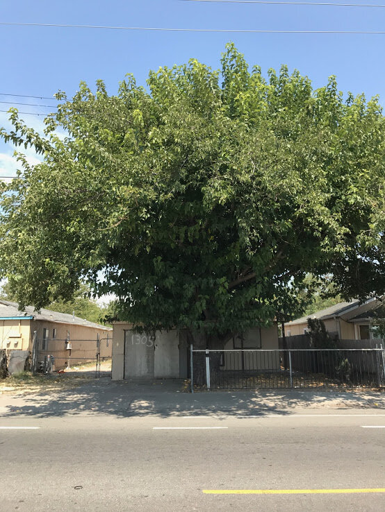 1305 Grand Ave 95838