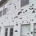 how to sell a home with hail damage in colorado