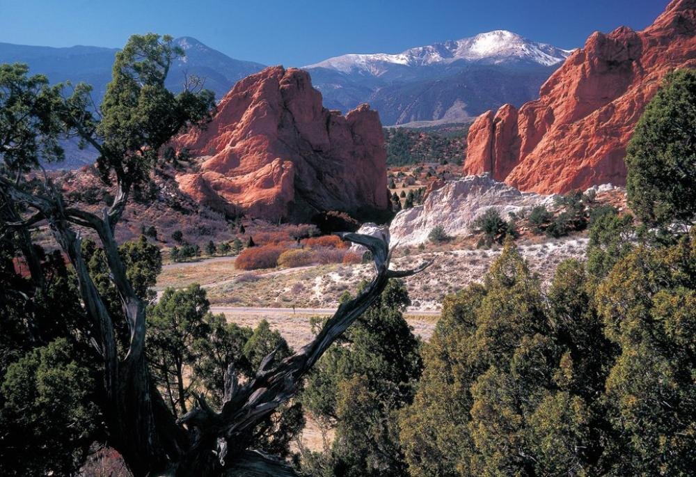 Colorado Springs neighborhoods that we buy houses in with cash