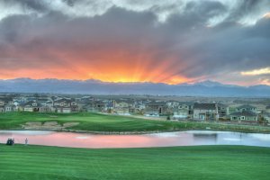firms who buy houses cash in co