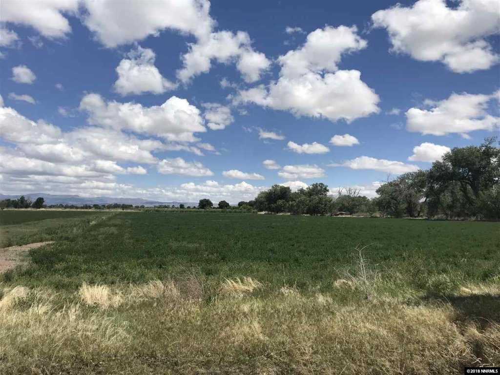 5 Ways To Use Your Profits After Selling Your Land in Colorado Springs !