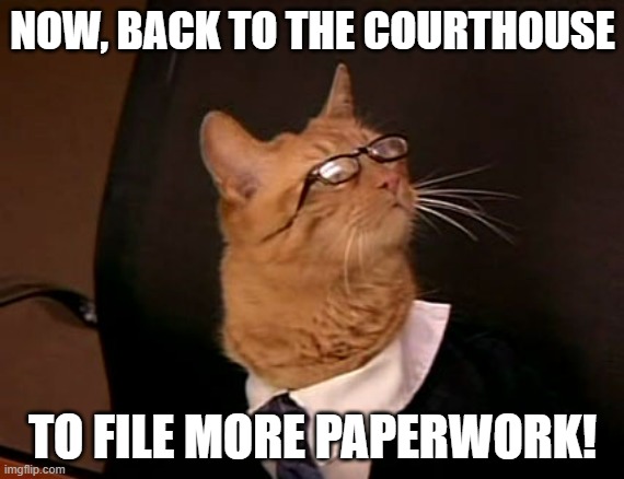 Lawyer Cat Squatter Meme
