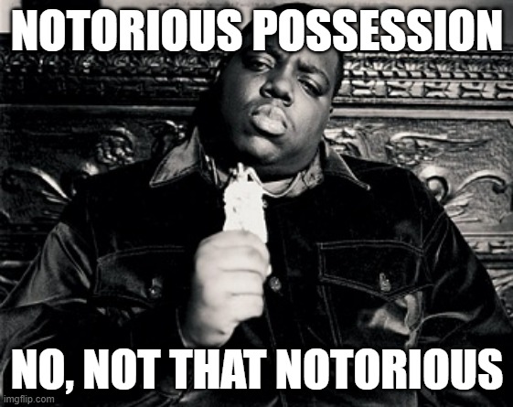 Notorious Possession Squatting meme