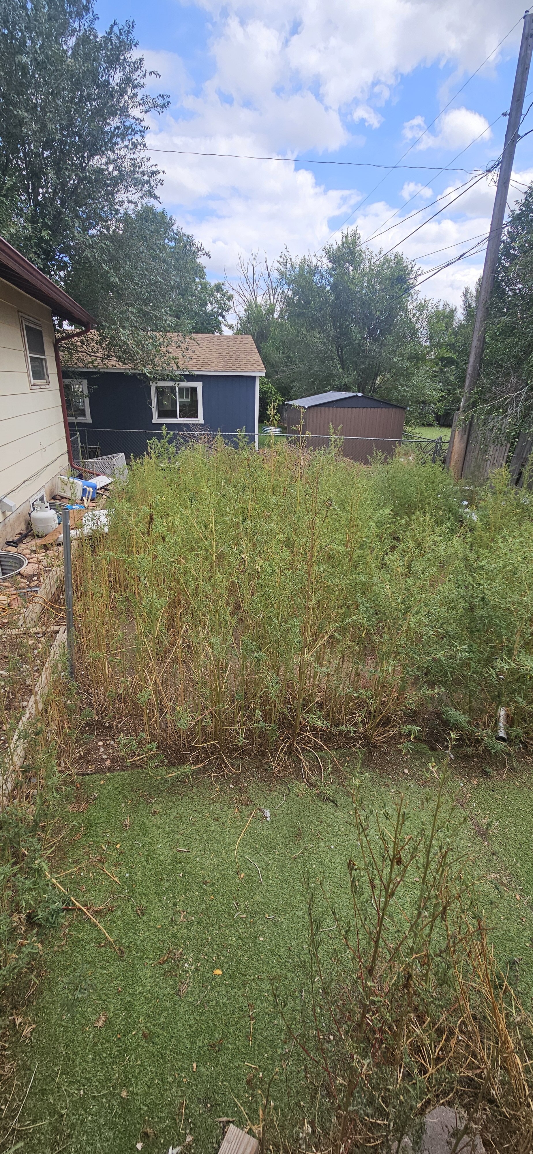 Prado Dr. Wholesale Back Yard