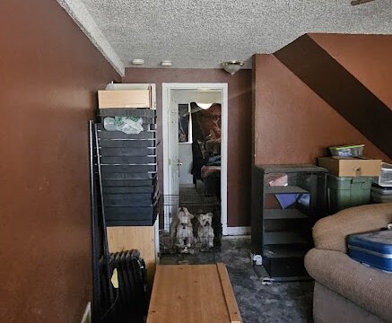 El Vereda Fountain CO Flip - Basement 2