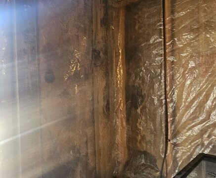 El Vereda Fountain CO Flip - Bedroom 5