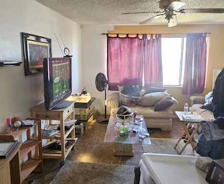 El Vereda Fountain CO Flip - Living Room 3