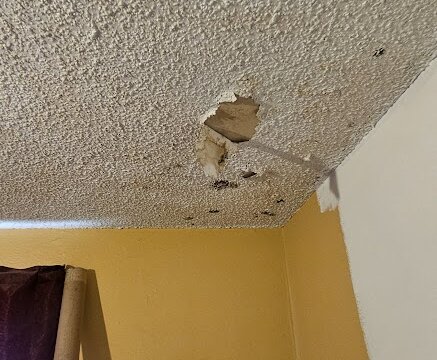 El Vereda Fountain CO Flip - Ceiling Water Damage