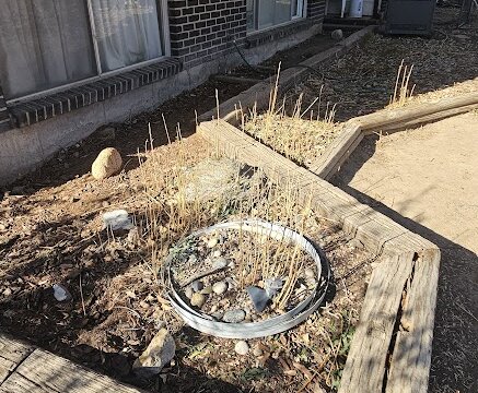 El Vereda Fountain CO Flip - Garden Bed