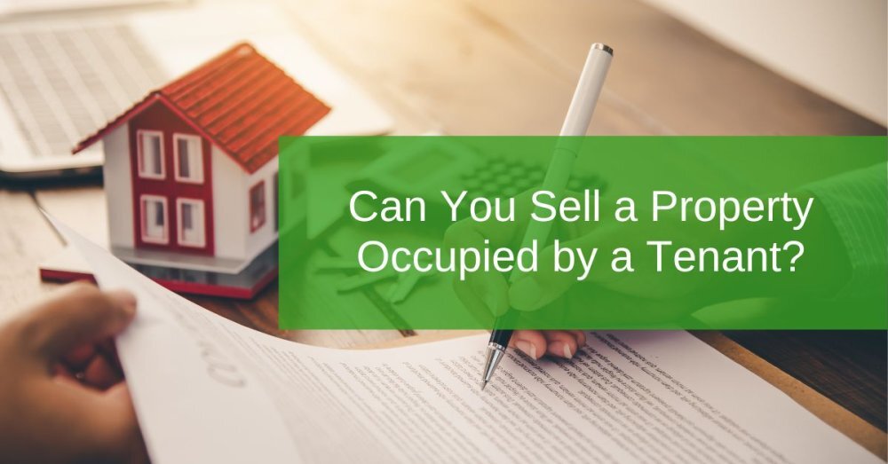 How Cash Buyers Handle Tenant-Occupied Properties