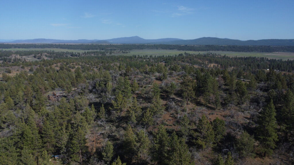 Here’s How To Buy Discount Land For Sale In Arizona