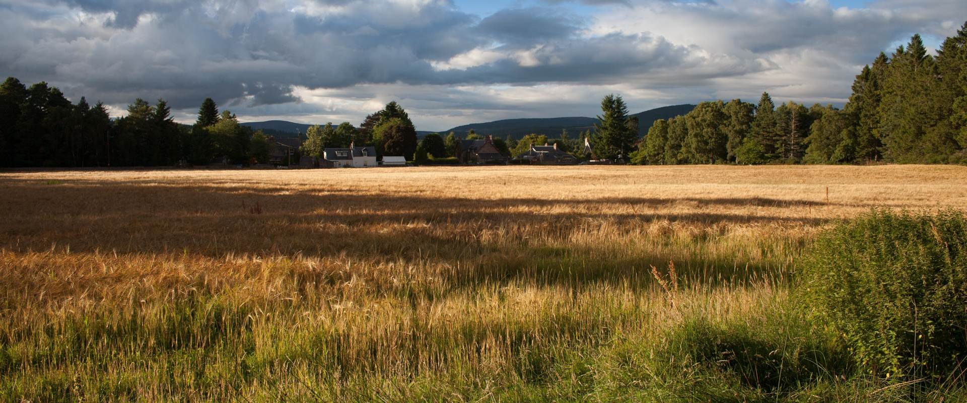 Sell Your Land Out Of State