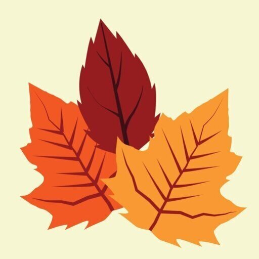 Fall In Portland