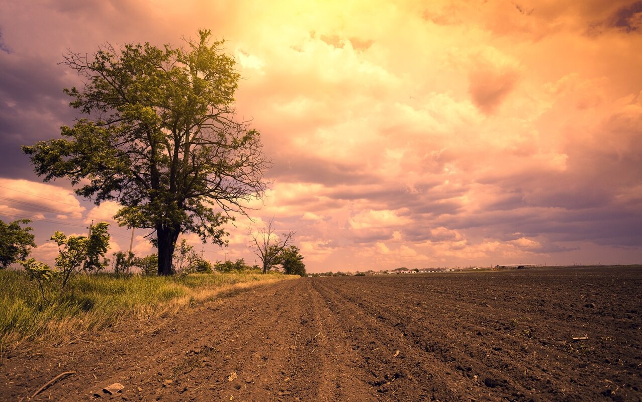 we buy vacant land Phoenix