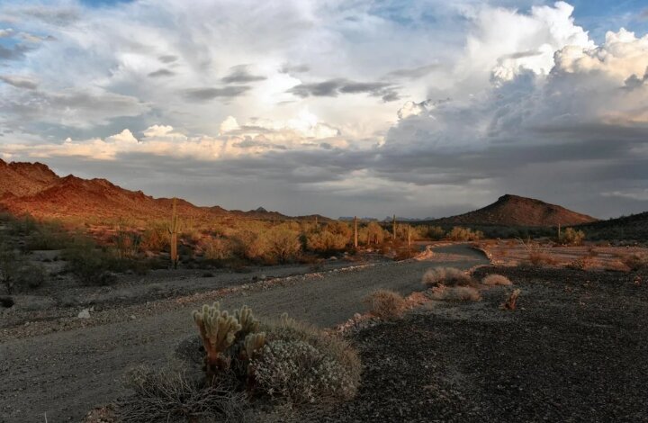 Sell My Land Fast Tonopah