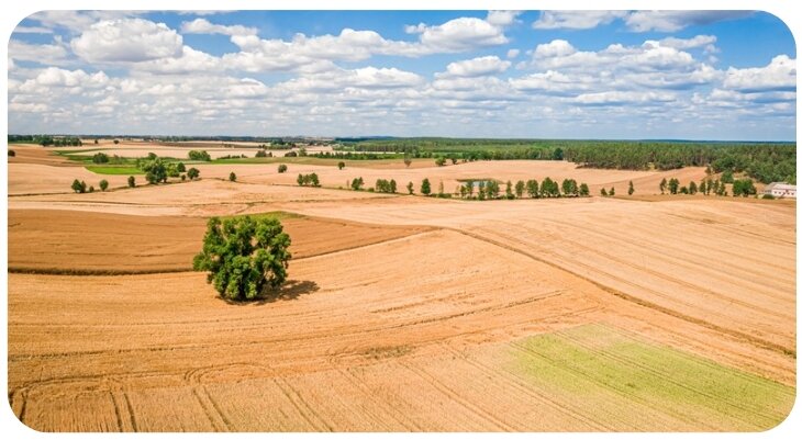 we buy vacant land