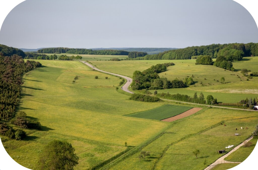 Selling your land for cash