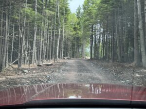Private Road leading to home sites
