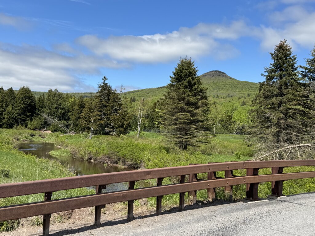 Here’s How To Buy Discount Land For Sale In NY