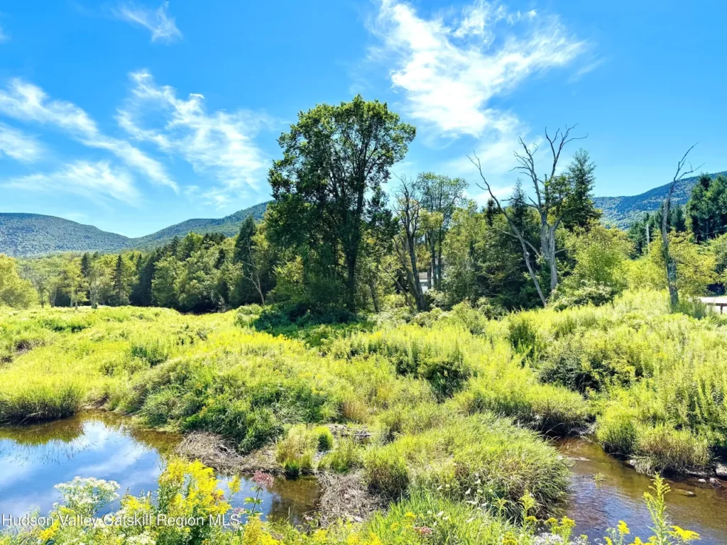 If you want to invest in raw land, lots, vacant land, and empty land