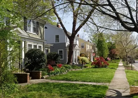 Suburban homes in Fredericksburg VA with landscaped lawns, blooming spring flowers, and mature trees along a quiet residential street