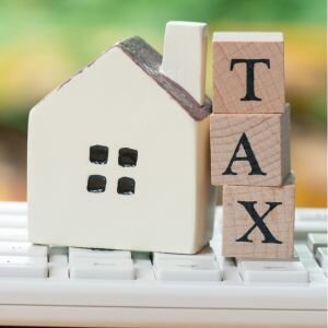 Is it Possible to Sell a Termite-Infested Property in [martket_city]