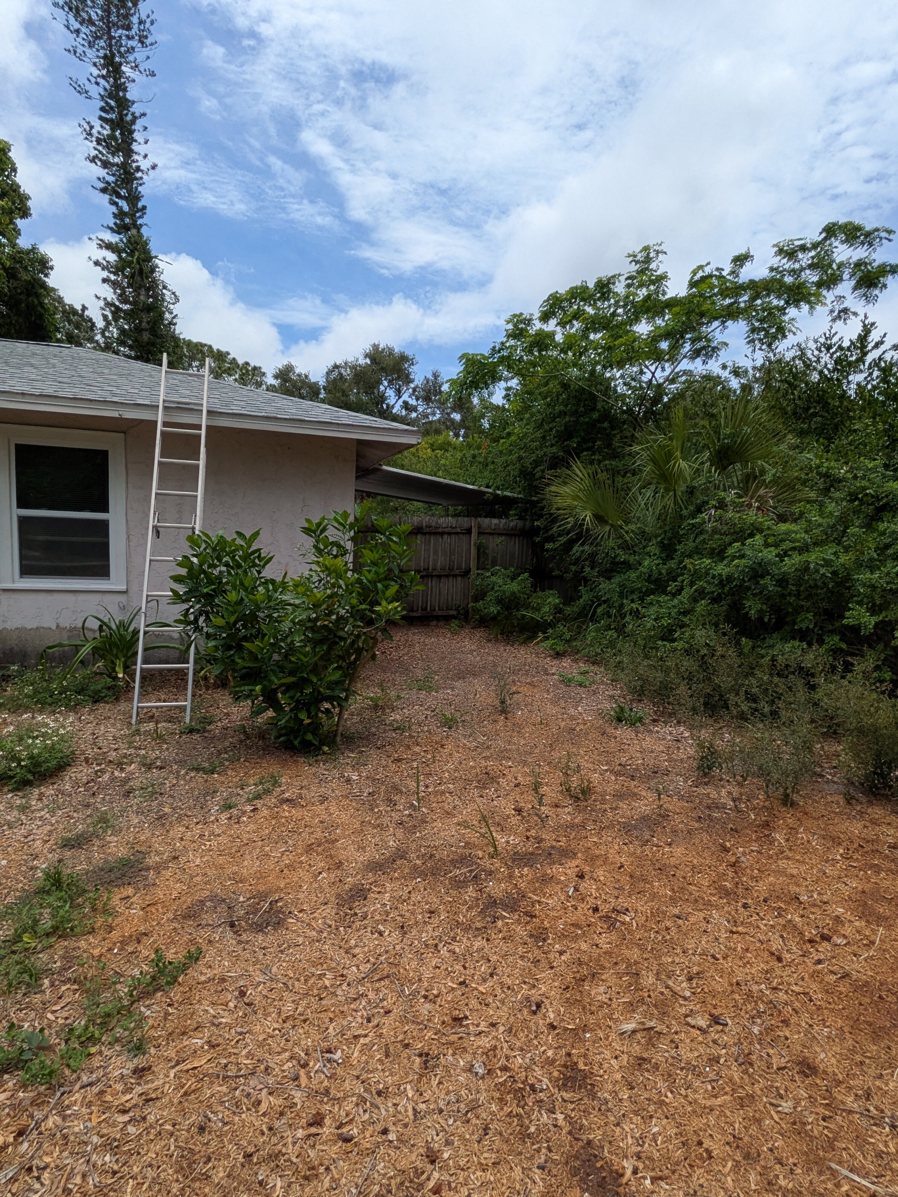 Recent property purchase