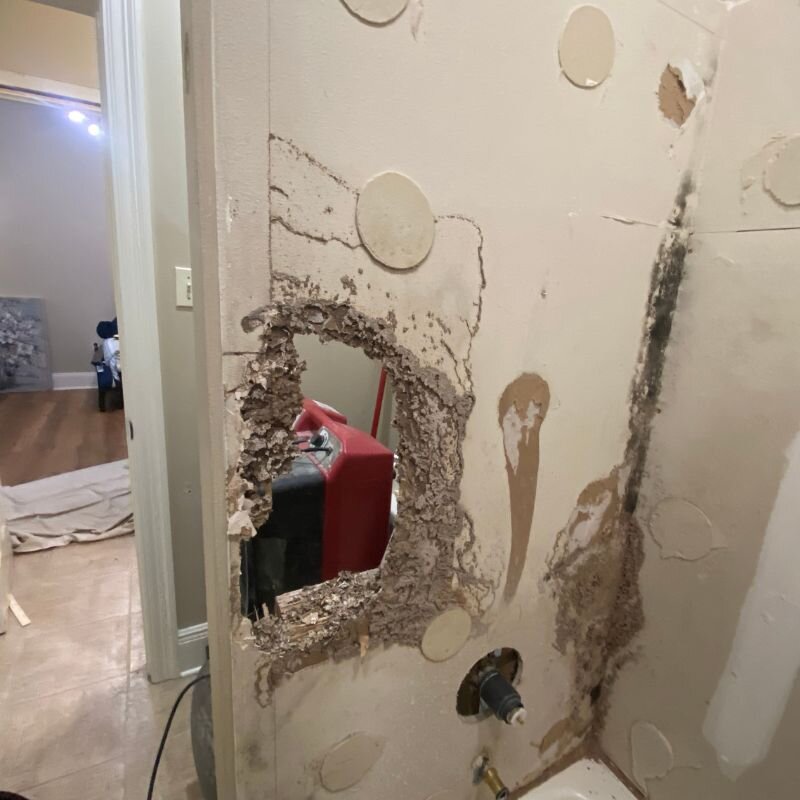 mandeville-bathroom-before-termite-damage