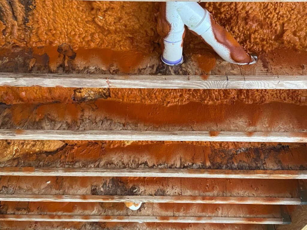 mandeville-bathroom-subfloor-damage-spray-foam