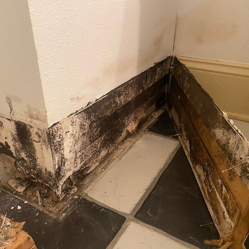 molded-baseboards-bathroom-overflow-damage