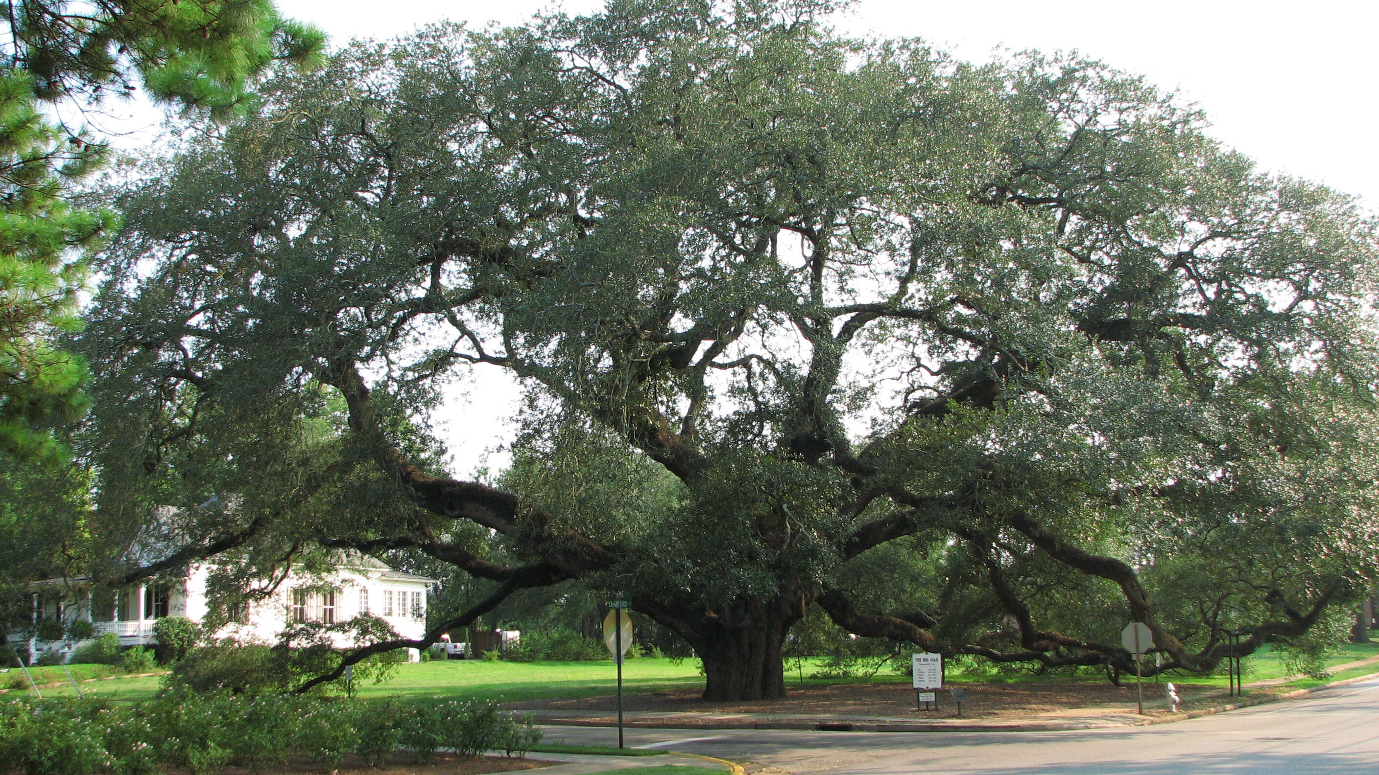 Moving to Thomasville, Georgia? 10 Things You MUST Know!