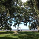 Bench-at-mandeville-lakefront-67f9b5a85056b36_67f9b914-5056-b365-abe1589d5aaa3d73