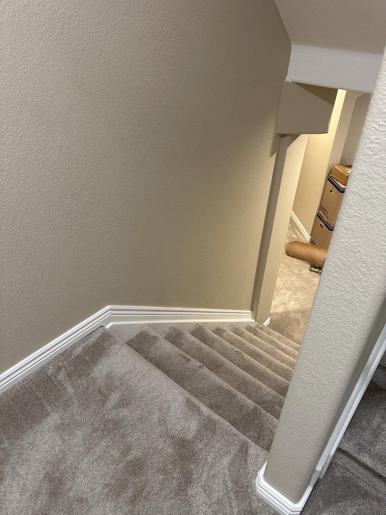 Carpeted stairway leading to a finished basement remodel by The Build Squad
