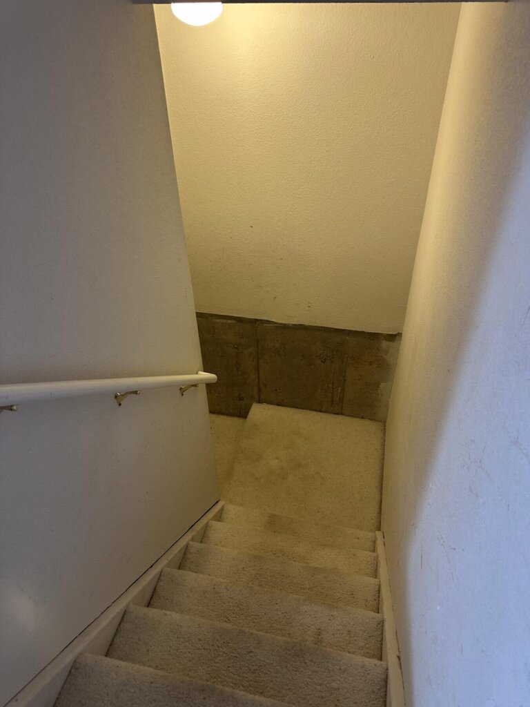 Carpeted stairwell down into a finished basement, completed remodel by The Build Squad