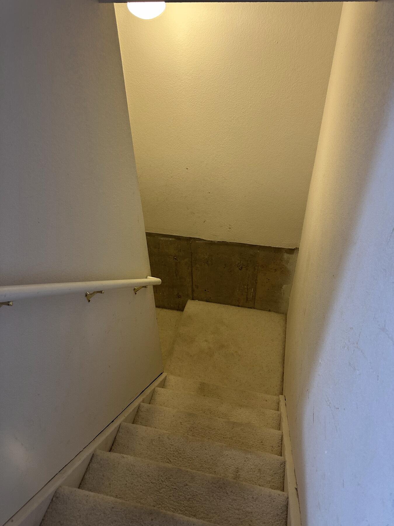 Carpeted stairwell down into a finished basement, completed remodel by The Build Squad