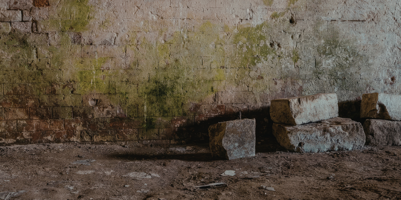 Sell House With Mold [market_city]