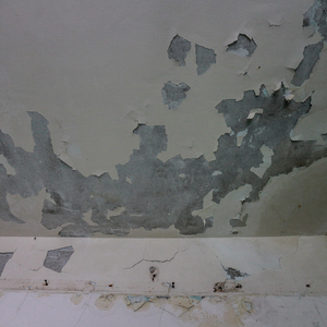 Sell a House Fast With Mold Memphis