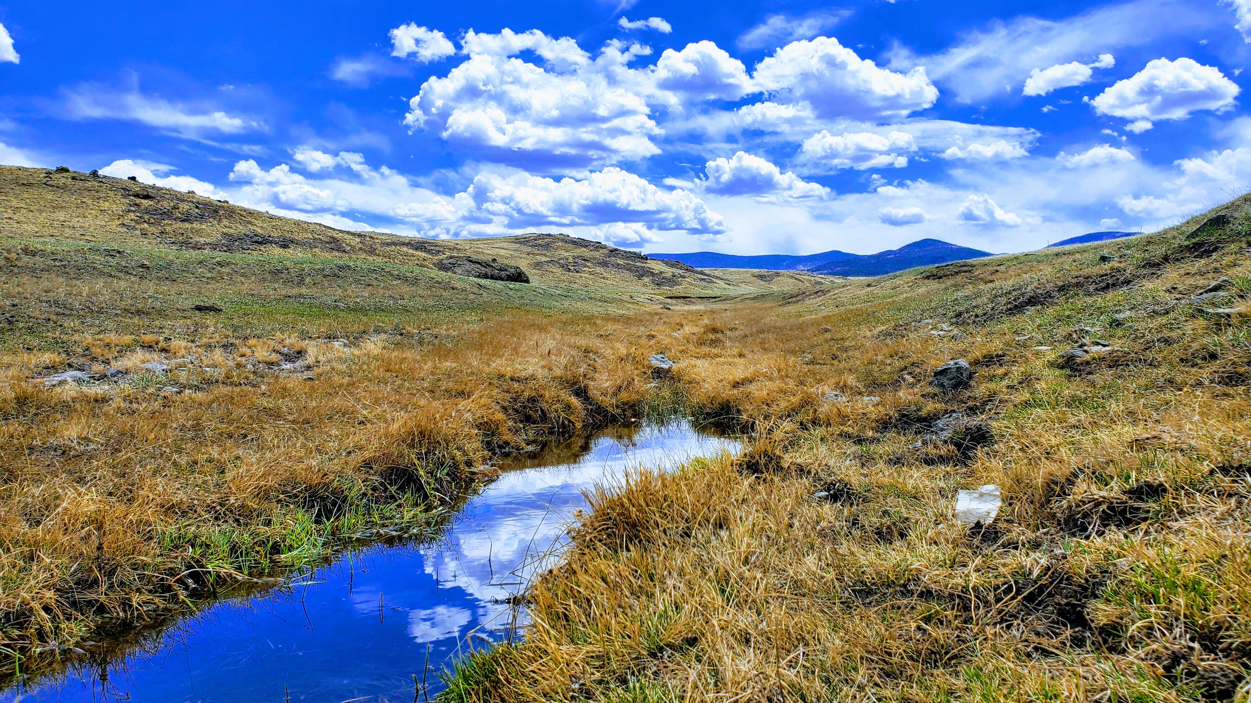 We are land specialists. 