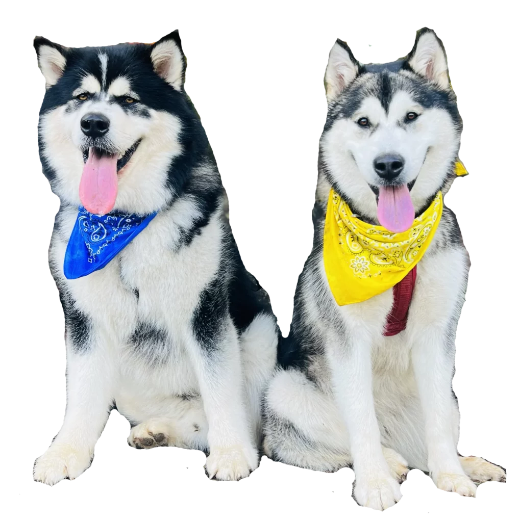 Buy or Sell, Alex Can Help You Today!