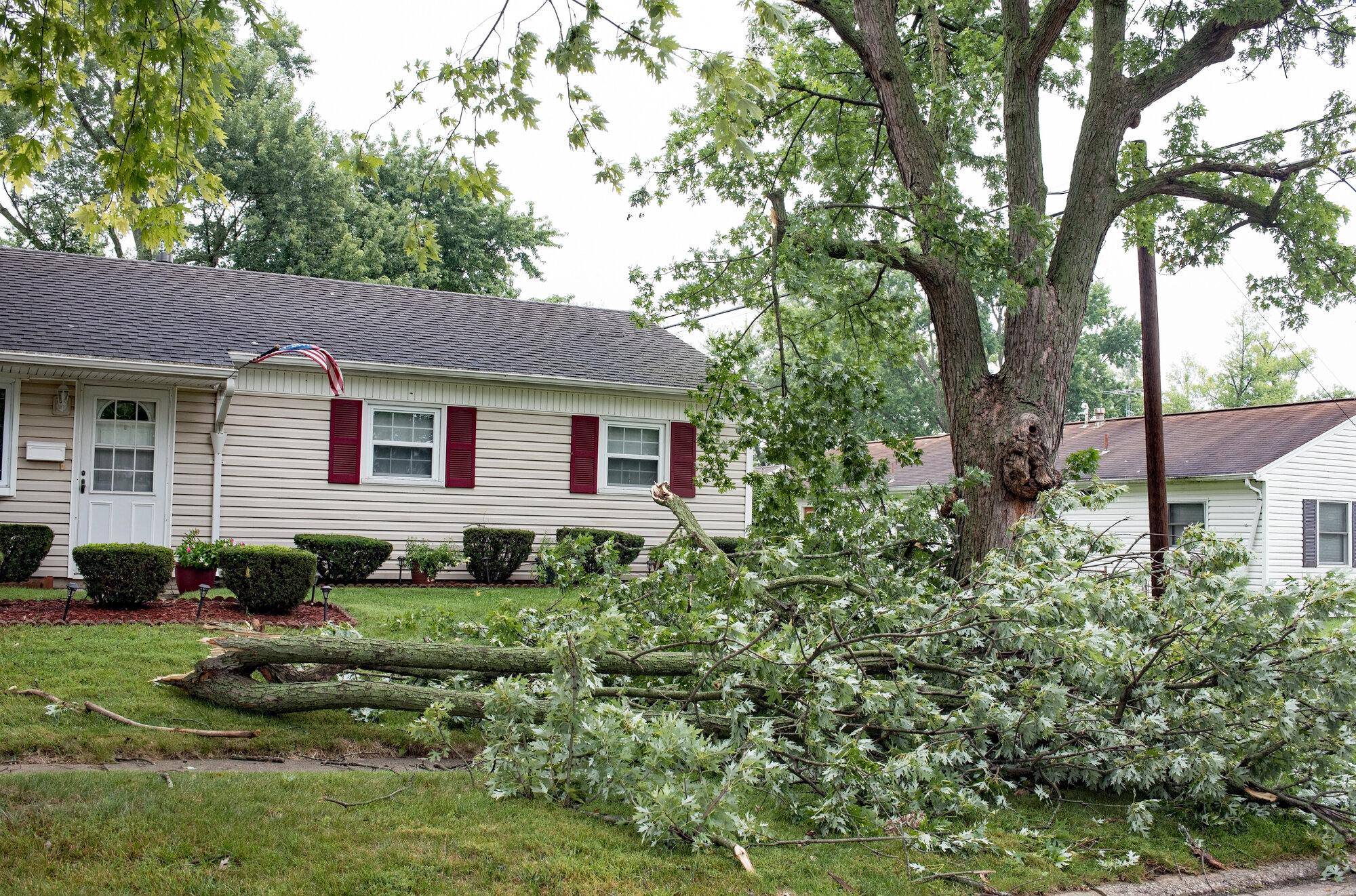 Large Tree Branches Down after Severe Storm in Ohio